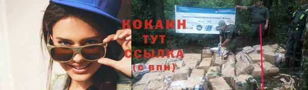 jwh Алзамай