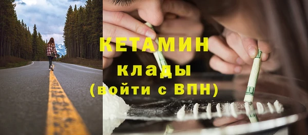 индика Покачи