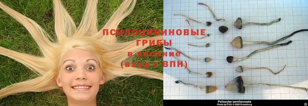jwh Алзамай