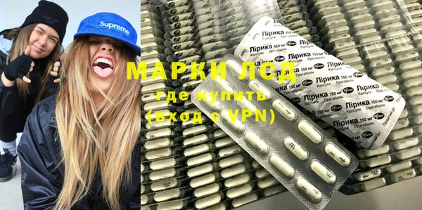 PSILOCYBIN Покров