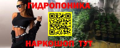 трава Гусиноозёрск