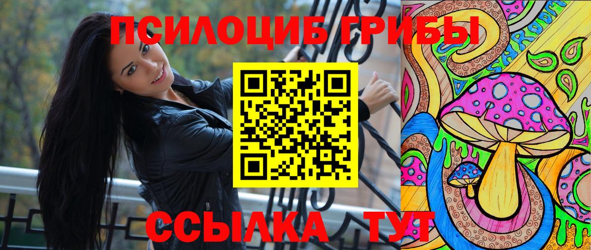 Псилоцибиновые грибы прущие грибы  Вход с VPN  Нововоронеж  Псилоцибиновые грибы Psilocybine cubensis 